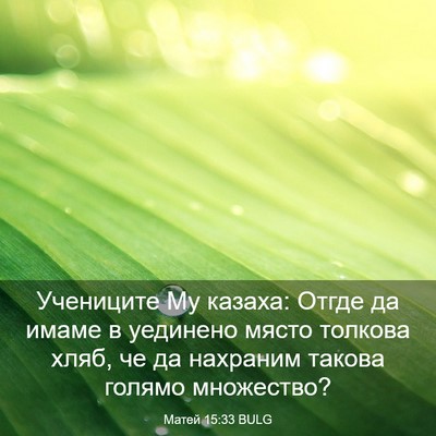 Picture 03 - Матей 15:33 BULG - Учениците Му казаха: Отгде - Bible Verse Picture