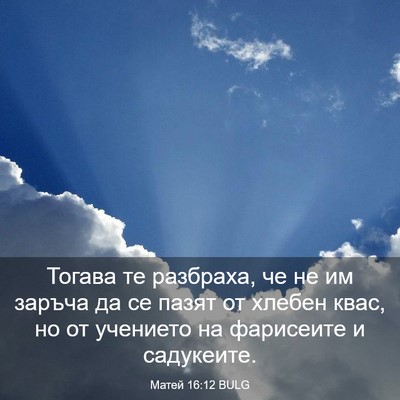Picture 03 - Матей 16:12 BULG - Тогава те разбраха, че не - Bible Verse Picture