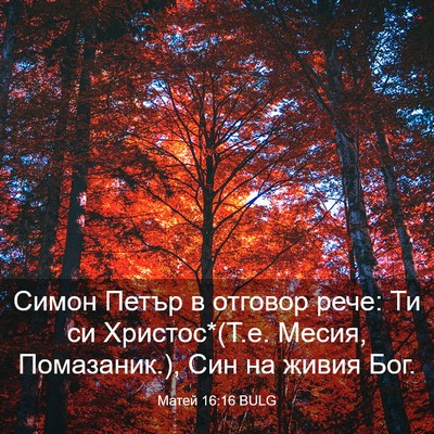 Picture 03 - Матей 16:16 BULG - Симон Петър в отговор рече: - Bible Verse Picture