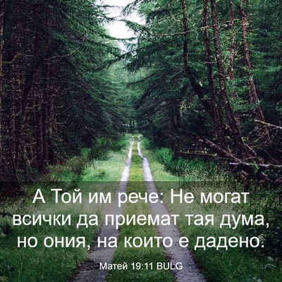 Picture 03 - Матей 19:11 BULG - А Той им рече: Не могат - Bible Verse Picture