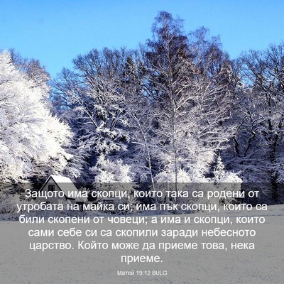 Picture 03 - Матей 19:12 BULG - Защото има скопци, които - Bible Verse Picture