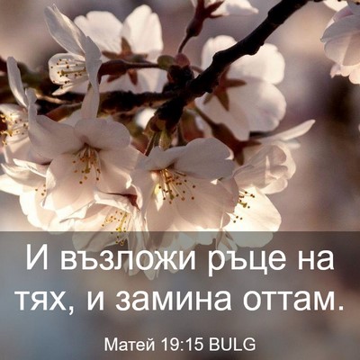 Picture 03 - Матей 19:15 BULG - И възложи ръце на тях, и - Bible Verse Picture