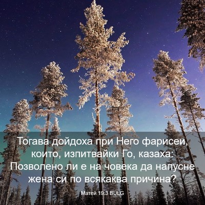 Picture 03 - Матей 19:3 BULG - Тогава дойдоха при Него - Bible Verse Picture