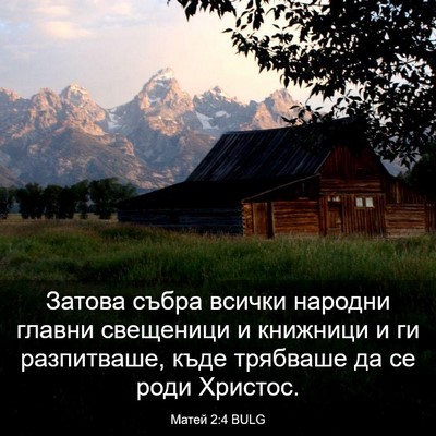 Picture 03 - Матей 2:4 BULG - Затова събра всички - Bible Verse Picture