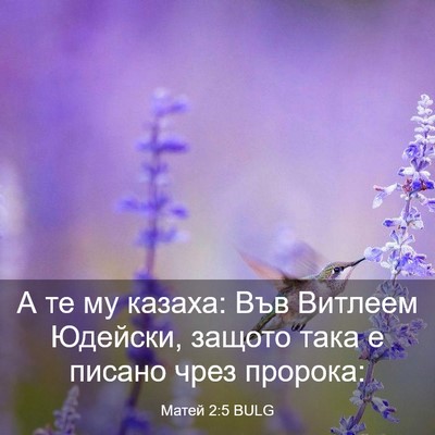 Picture 03 - Матей 2:5 BULG - А те му казаха: Във Витлеем - Bible Verse Picture