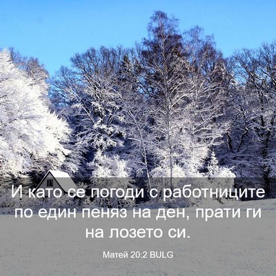Picture 03 - Матей 20:2 BULG - И като се погоди с - Bible Verse Picture