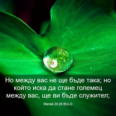 Picture 03 - Матей 20:26 BULG - Но между вас не ще бъде - Bible Verse Picture