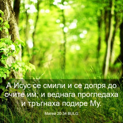 Picture 03 - Матей 20:34 BULG - А Исус се смили и се допря - Bible Verse Picture