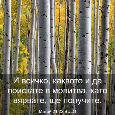 Picture 03 - Матей 21:22 BULG - И всичко, каквото и да - Bible Verse Picture