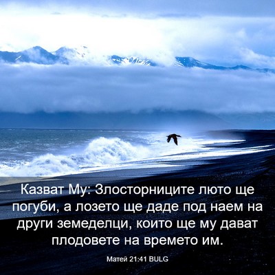 Picture 03 - Матей 21:41 BULG - Казват Му: Злосторниците - Bible Verse Picture