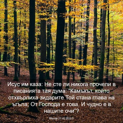 Picture 03 - Матей 21:42 BULG - Исус им каза: Не сте ли - Bible Verse Picture