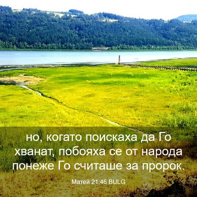 Picture 03 - Матей 21:46 BULG - но, когато поискаха да Го - Bible Verse Picture