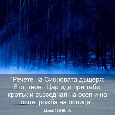 Picture 03 - Матей 21:5 BULG - “Речете на Сионовата - Bible Verse Picture