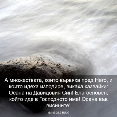 Picture 03 - Матей 21:9 BULG - А множествата, които - Bible Verse Picture
