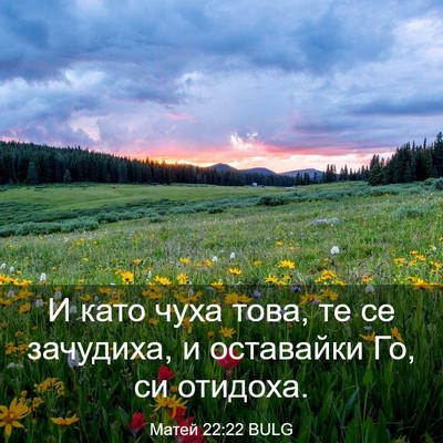 Picture 03 - Матей 22:22 BULG - И като чуха това, те се - Bible Verse Picture