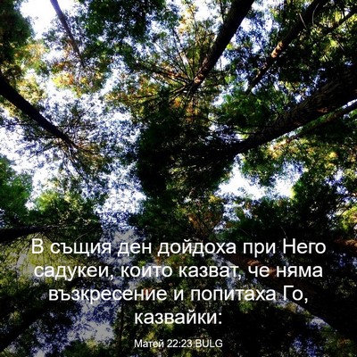 Picture 03 - Матей 22:23 BULG - В същия ден дойдоха при - Bible Verse Picture