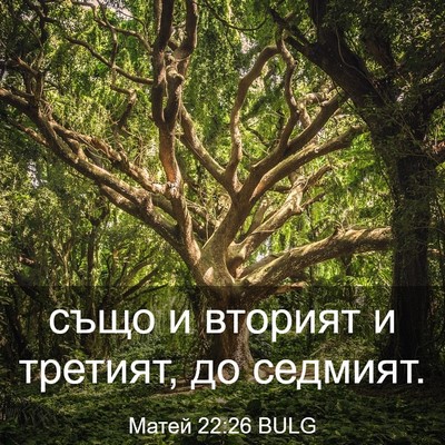Picture 03 - Матей 22:26 BULG - също и вторият и третият, - Bible Verse Picture