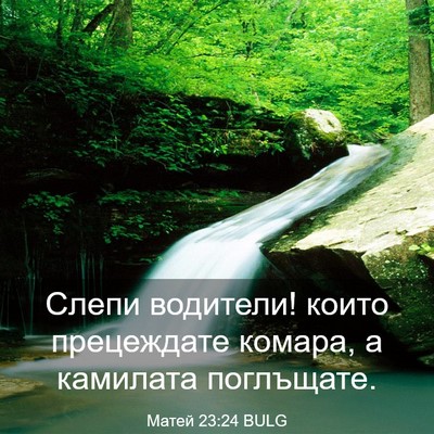 Picture 03 - Матей 23:24 BULG - Слепи водители! които - Bible Verse Picture