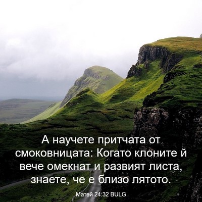 Picture 03 - Матей 24:32 BULG - А научете притчата от - Bible Verse Picture