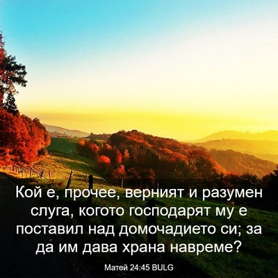 Picture 03 - Матей 24:45 BULG - Кой е, прочее, верният и - Bible Verse Picture
