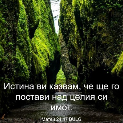 Picture 03 - Матей 24:47 BULG - Истина ви казвам, че ще го - Bible Verse Picture