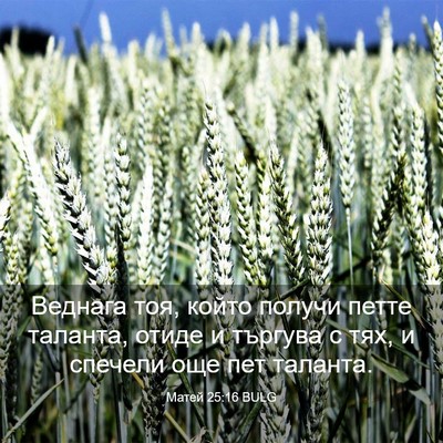 Picture 03 - Матей 25:16 BULG - Веднага тоя, който получи - Bible Verse Picture