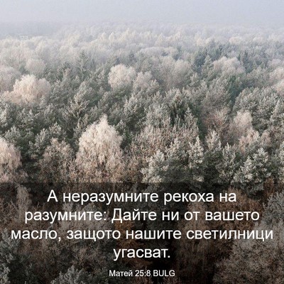 Picture 03 - Матей 25:8 BULG - А неразумните рекоха на - Bible Verse Picture