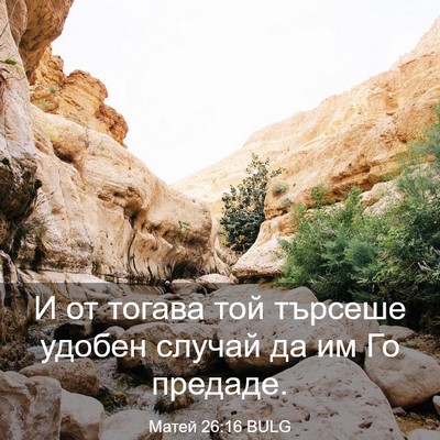 Picture 03 - Матей 26:16 BULG - И от тогава той търсеше - Bible Verse Picture