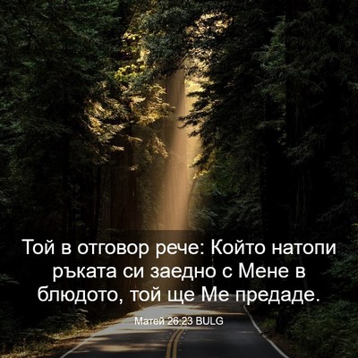 Picture 03 - Матей 26:23 BULG - Той в отговор рече: Който - Bible Verse Picture