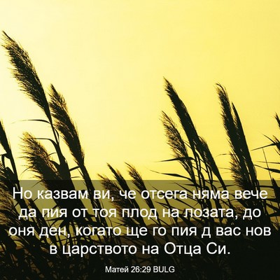 Picture 03 - Матей 26:29 BULG - Но казвам ви, че отсега - Bible Verse Picture