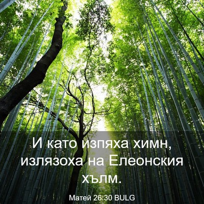 Picture 03 - Матей 26:30 BULG - И като изпяха химн, - Bible Verse Picture