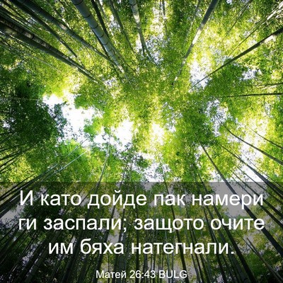 Picture 03 - Матей 26:43 BULG - И като дойде пак намери ги - Bible Verse Picture