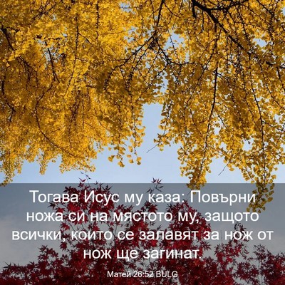 Picture 03 - Матей 26:52 BULG - Тогава Исус му каза: - Bible Verse Picture