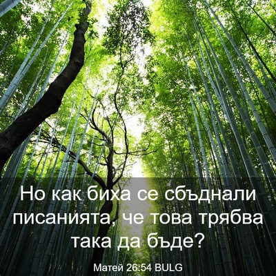 Picture 03 - Матей 26:54 BULG - Но как биха се сбъднали - Bible Verse Picture