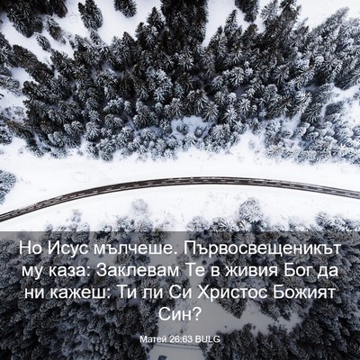 Picture 03 - Матей 26:63 BULG - Но Исус мълчеше. - Bible Verse Picture