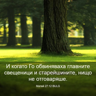 Picture 03 - Матей 27:12 BULG - И когато Го обвиняваха - Bible Verse Picture
