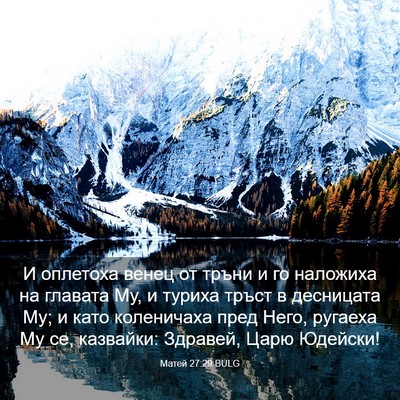 Picture 03 - Матей 27:29 BULG - И оплетоха венец от тръни и - Bible Verse Picture