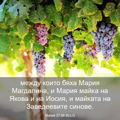 Picture 03 - Матей 27:56 BULG - между които бяха Мария - Bible Verse Picture