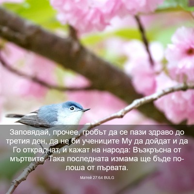 Picture 03 - Матей 27:64 BULG - Заповядай, прочее, гробът - Bible Verse Picture