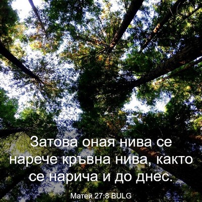 Picture 03 - Матей 27:8 BULG - Затова оная нива се нарече - Bible Verse Picture