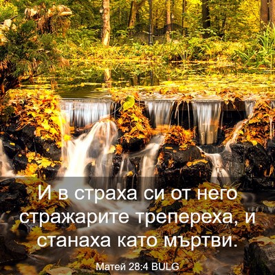 Picture 03 - Матей 28:4 BULG - И в страха си от него - Bible Verse Picture
