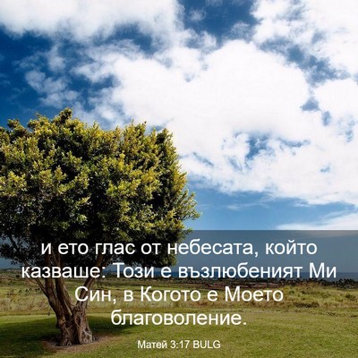 Picture 03 - Матей 3:17 BULG - и ето глас от небесата, - Bible Verse Picture