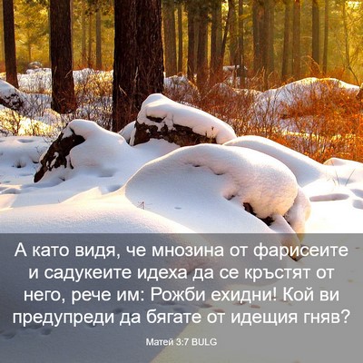 Picture 03 - Матей 3:7 BULG - А като видя, че мнозина от - Bible Verse Picture