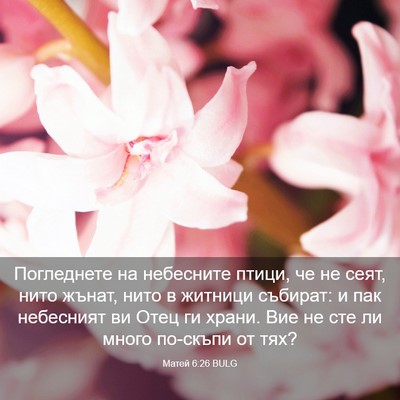 Picture 03 - Матей 6:26 BULG - Погледнете на небесните - Bible Verse Picture