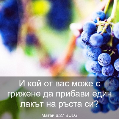 Picture 03 - Матей 6:27 BULG - И кой от вас може с грижене - Bible Verse Picture