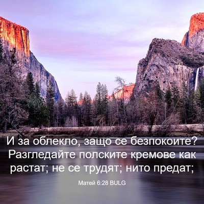Picture 03 - Матей 6:28 BULG - И за облекло, защо се - Bible Verse Picture