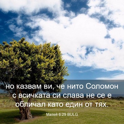 Picture 03 - Матей 6:29 BULG - но казвам ви, че нито - Bible Verse Picture
