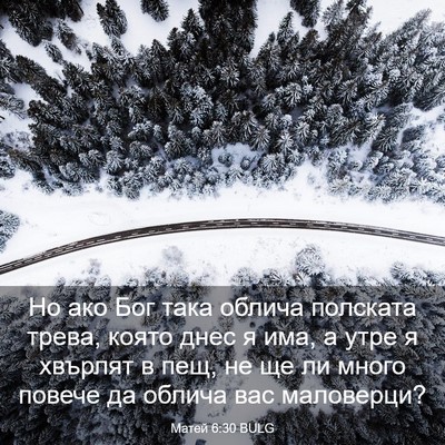 Picture 03 - Матей 6:30 BULG - Но ако Бог така облича - Bible Verse Picture