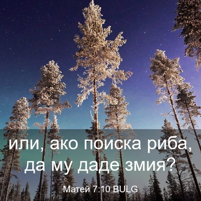 Picture 03 - Матей 7:10 BULG - или, ако поиска риба, да му - Bible Verse Picture