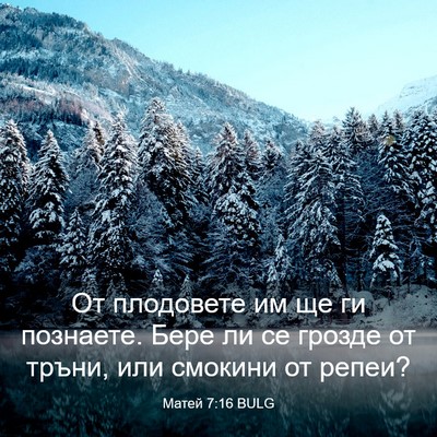 Picture 03 - Матей 7:16 BULG - От плодовете им ще ги - Bible Verse Picture